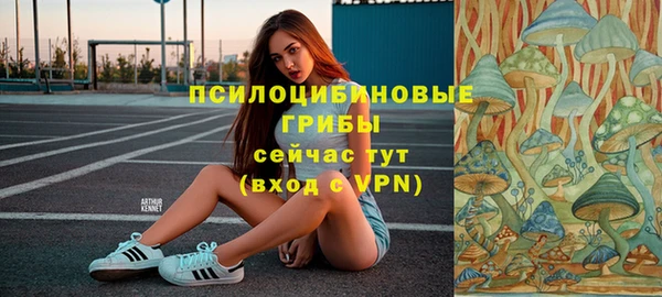 не бодяженный Белокуриха