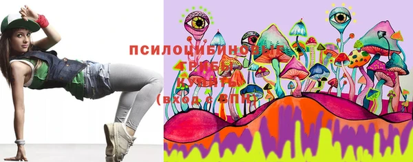 гидропоника Богородицк